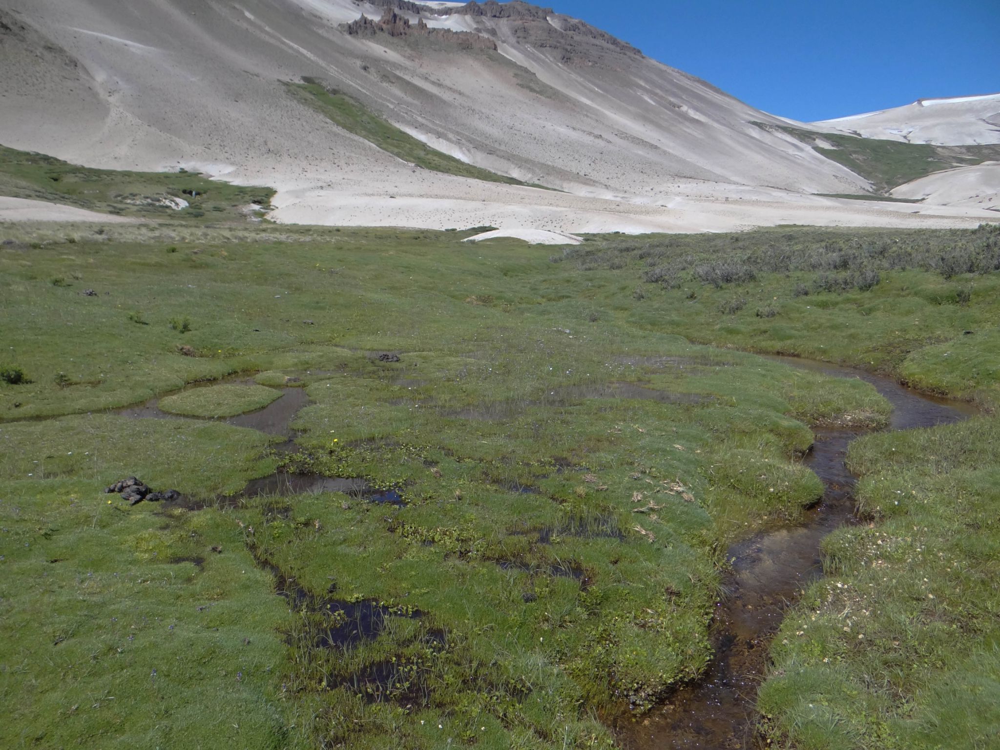 Begining of streams LA